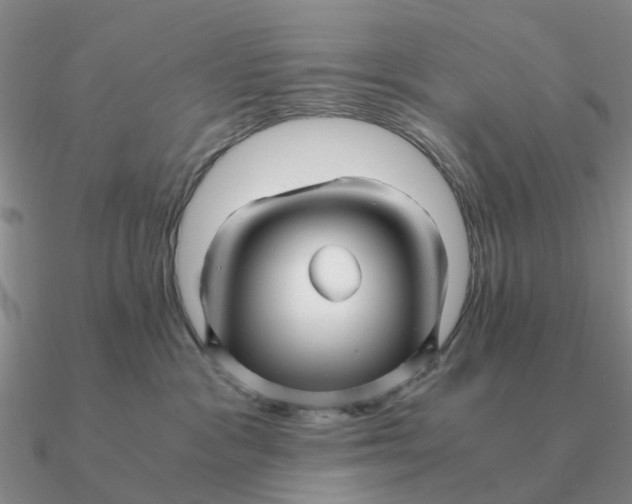 X0000090600333200708071148