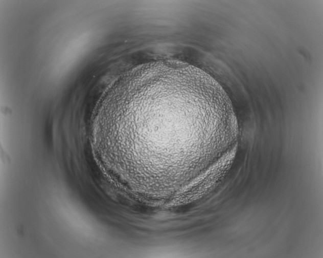 X0000090600335200708071148