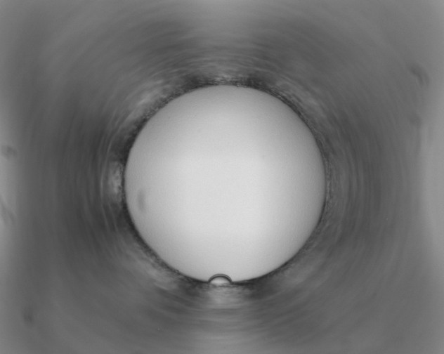 X0000090600336200708071148