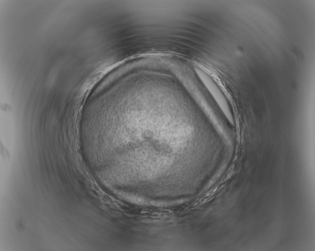 X0000090600337200708071147