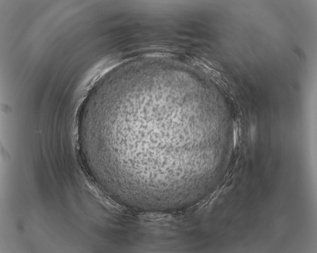 X0000090600339200708071147