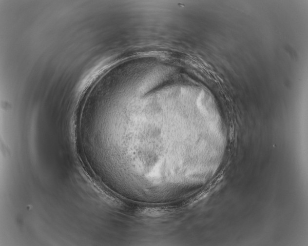 X0000090600341200708071147