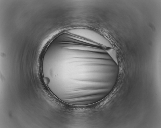 X0000090600342200708071147