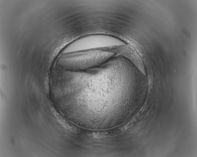 X0000090600345200708071147