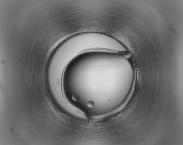 X0000090600348200708071147