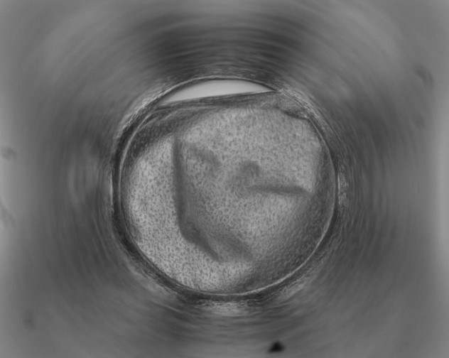 X0000090600349200708071147