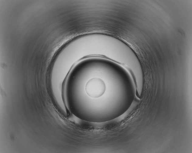 X0000090600350200708071147