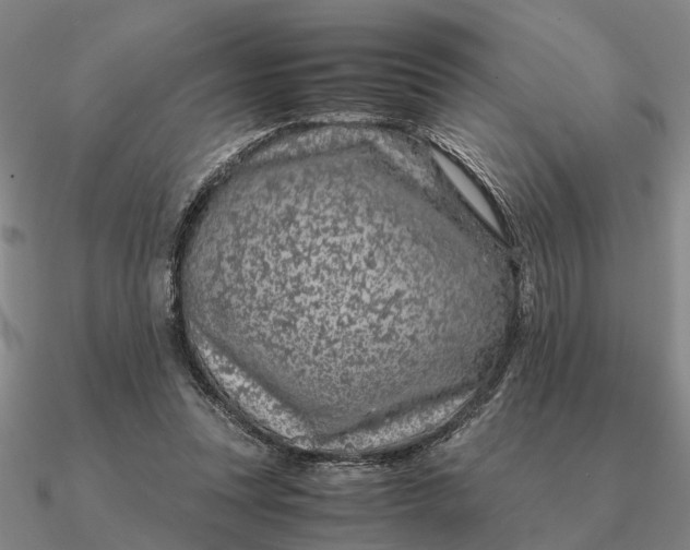 X0000090600351200708071147