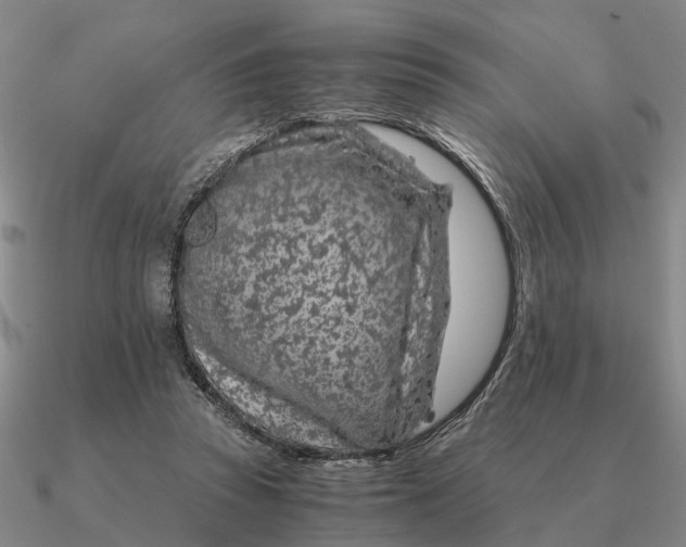 X0000090600353200708071147