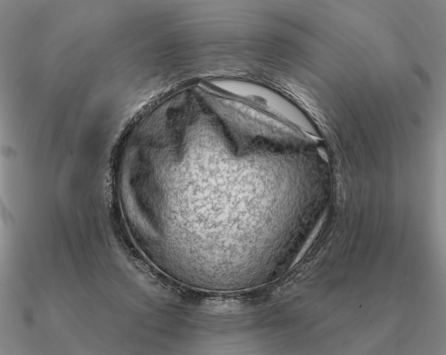 X0000090600354200708071147