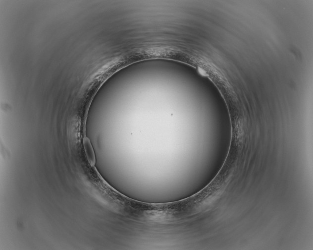 X0000090600356200708071147