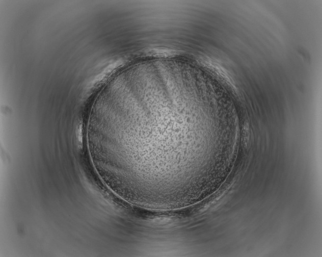 X0000090600358200708071147