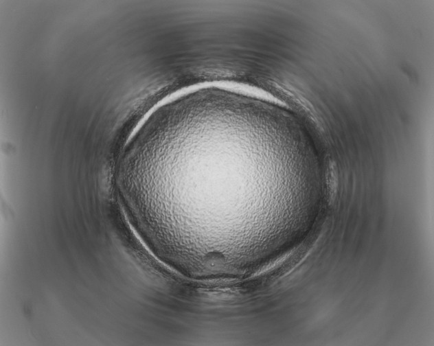 X0000090600359200708071147