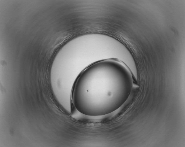 X0000090600362200708071148