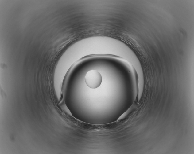 X0000090600364200708071148