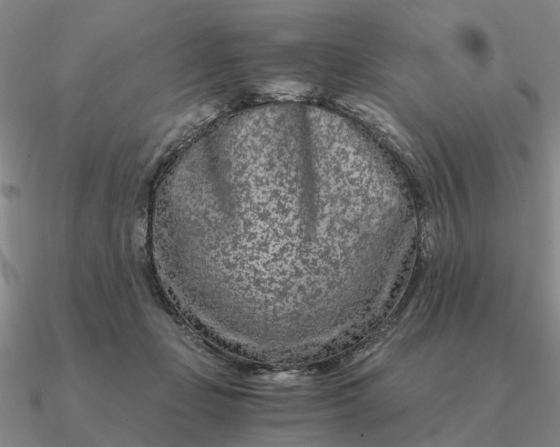 X0000090600365200708071148