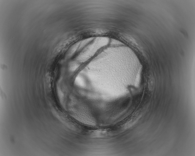 X0000090600366200708071148