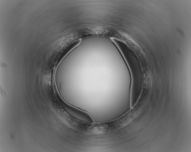 X0000090600368200708071148