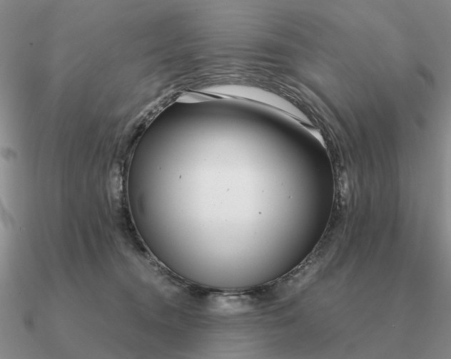 X0000090600372200708071148