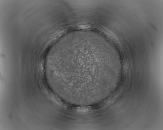 X0000090600373200708071148