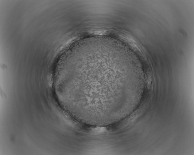 X0000090600374200708071148