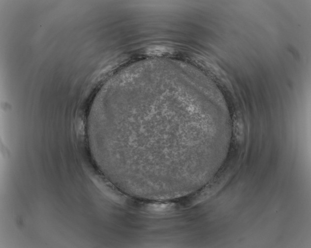 X0000090600375200708071148