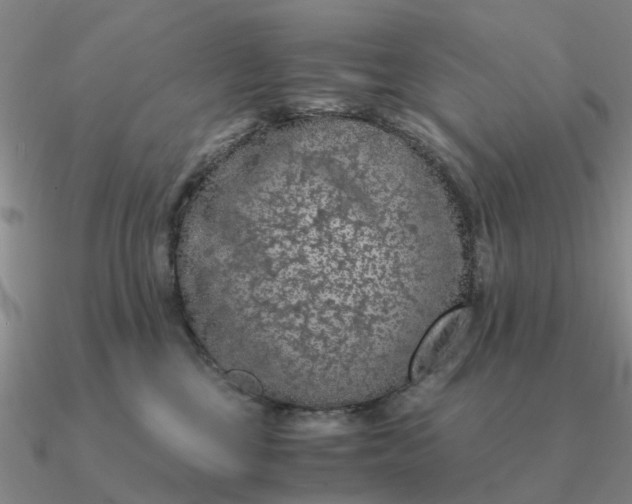 X0000090600377200708071148