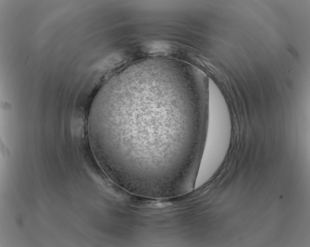 X0000090600379200708071148