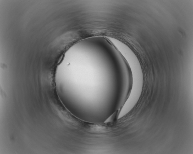 X0000090600380200708071148