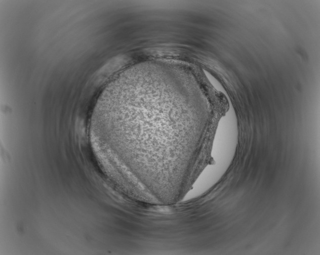 X0000090600381200708071148