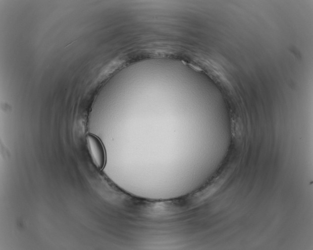 X0000090600382200708071148