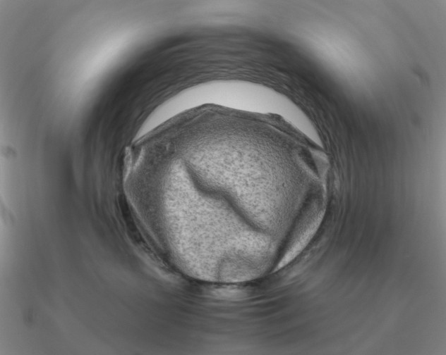 X0000090600383200708071148