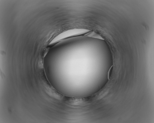 X0000090600384200708071148