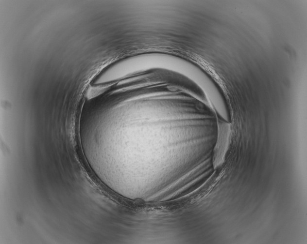 X0000090600386200708071147