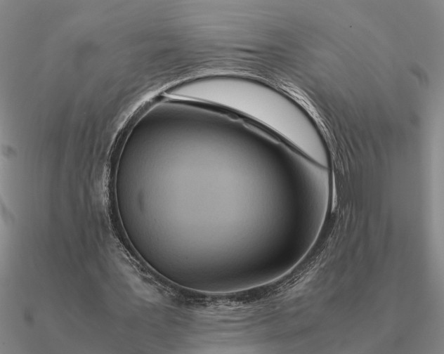 X0000090600387200708071147