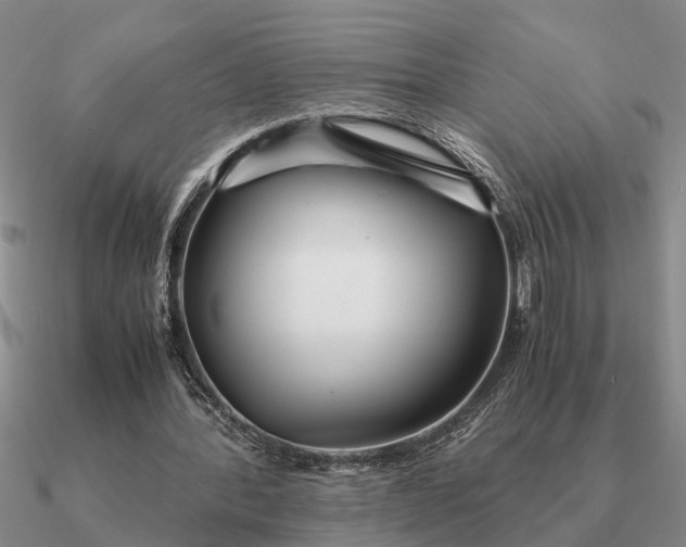 X0000090600388200708071147