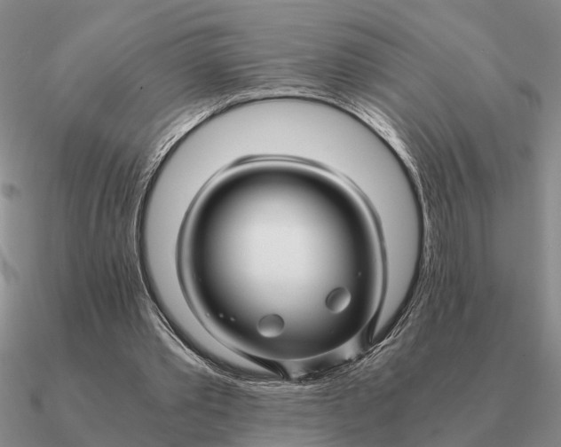 X0000090600389200708071147