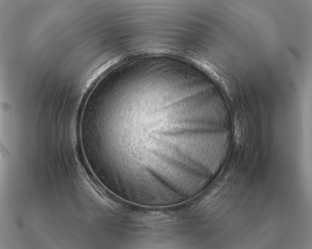 X0000090600390200708071147