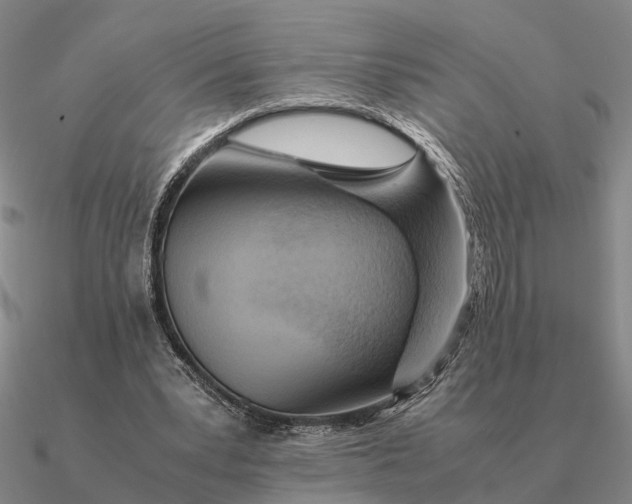 X0000090600391200708071147