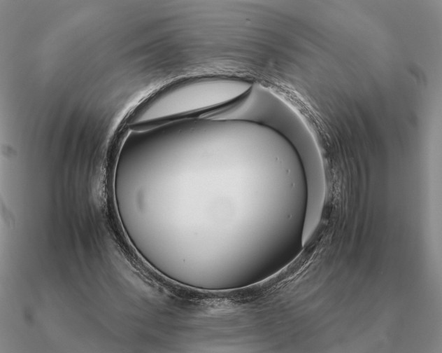 X0000090600392200708071147