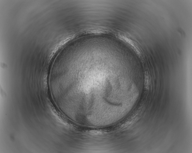 X0000090600394200708071147