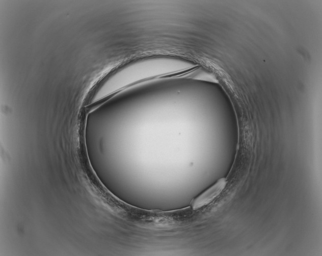 X0000090600395200708071147