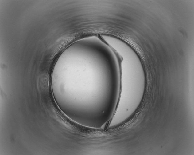 X0000090600397200708071147