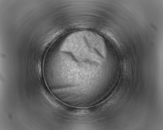 X0000090600398200708071147