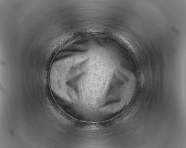 X0000090600402200708071147