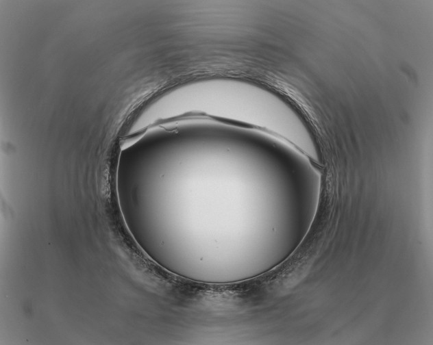 X0000090600403200708071147