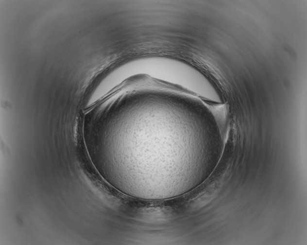 X0000090600404200708071147