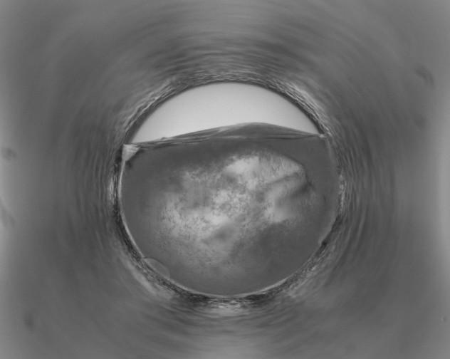 X0000090600405200708071147