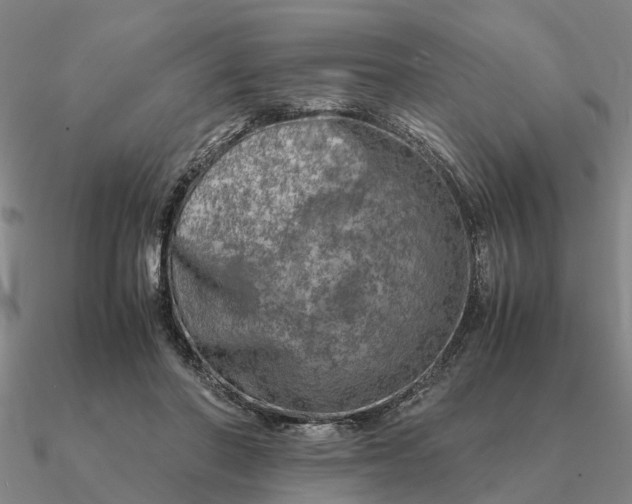 X0000090600406200708071147