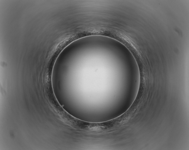 X0000090600407200708071147